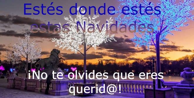 imagenes-navidad-frases-felicitar-19