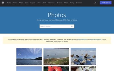Probamos Photos, el nuevo repositorio de imágenes gratuitas de WordPress