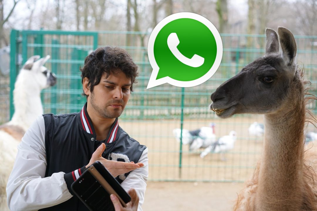 100 fotos de perfil divertidas para poner en tu WhatsApp
