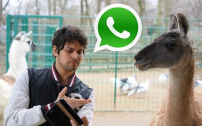 100 fotos de perfil divertidas para poner en tu WhatsApp
