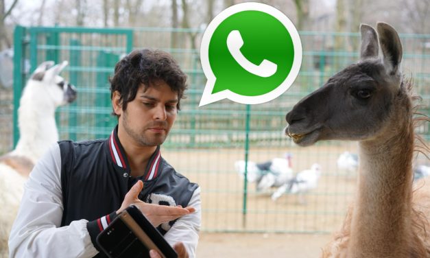 100 fotos de perfil divertidas para poner en tu WhatsApp