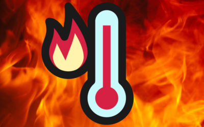 Los mejores memes y GIF de la ola de calor