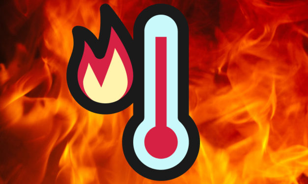 Los mejores memes y GIF de la ola de calor