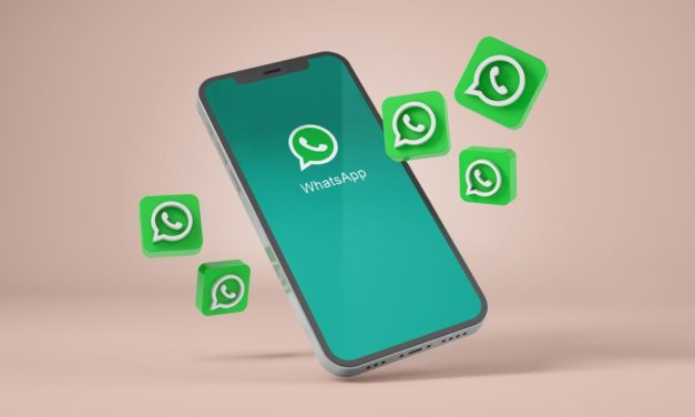 WhatsApp se vuelve loco: ojo con el nuevo límite de tamaño para los vídeos de gatitos