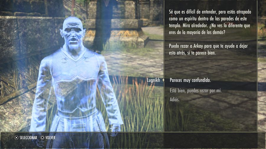 Elder Scrolls Online 019