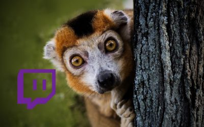 Las mayores sobradas que se han escuchado en Twitch este año