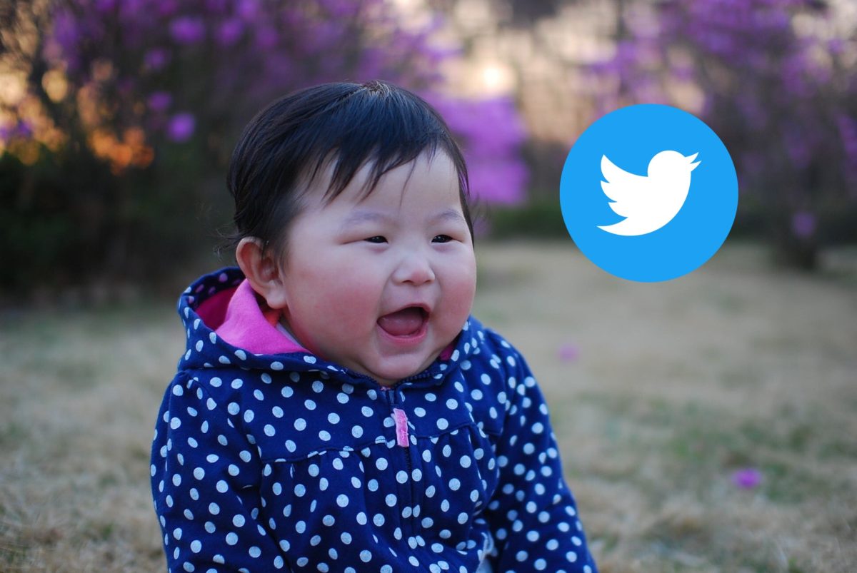 10 vídeos de Twitter para empezar la semana riendo