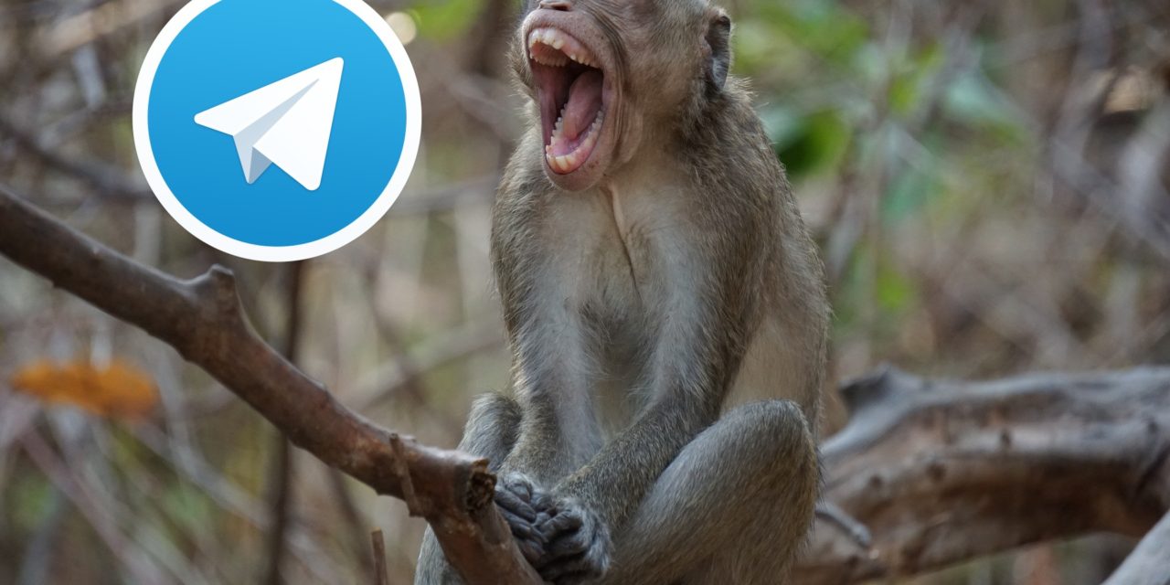 Los mejores canales de Telegram para ver bromas