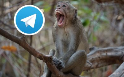 Los mejores canales de Telegram para ver bromas