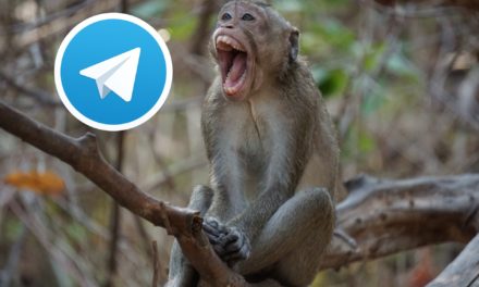 Los mejores canales de Telegram para ver bromas