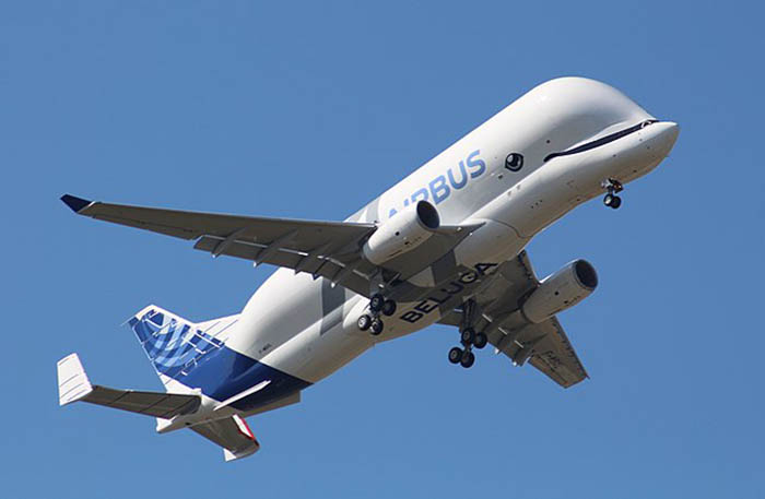 beluga xl