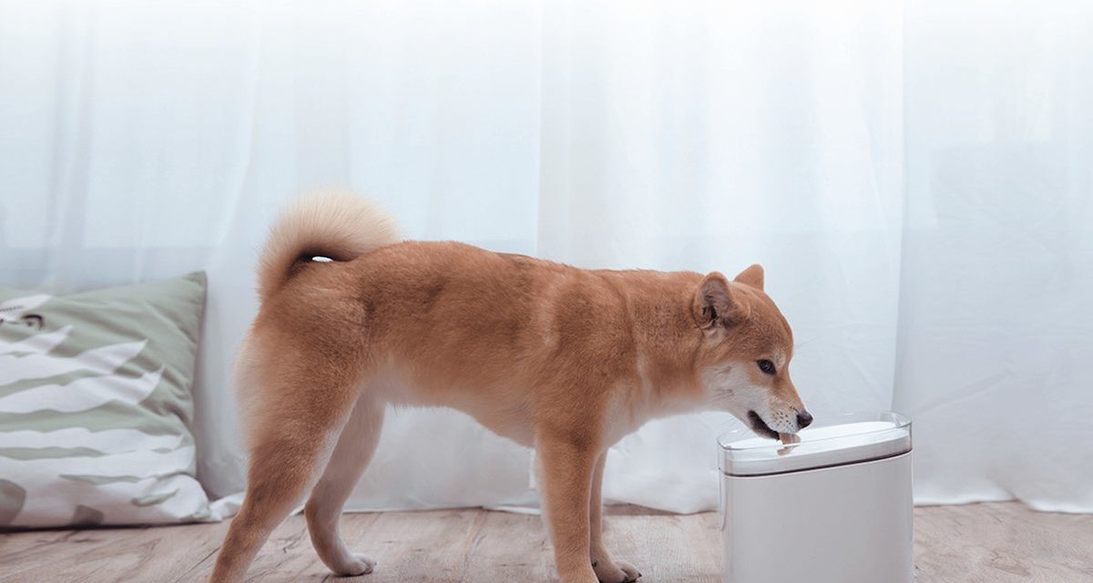 Xiaomi Smart Pet Fountain, una fuente de agua inteligente para mascotas