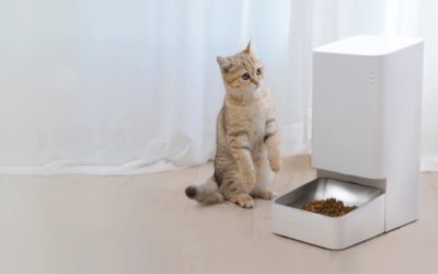 Xiaomi Smart Pet Food Feeder, un dispensador de comida inteligente para mascotas