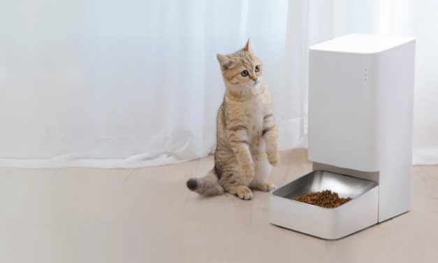 Xiaomi Smart Pet Food Feeder, un dispensador de comida inteligente para mascotas