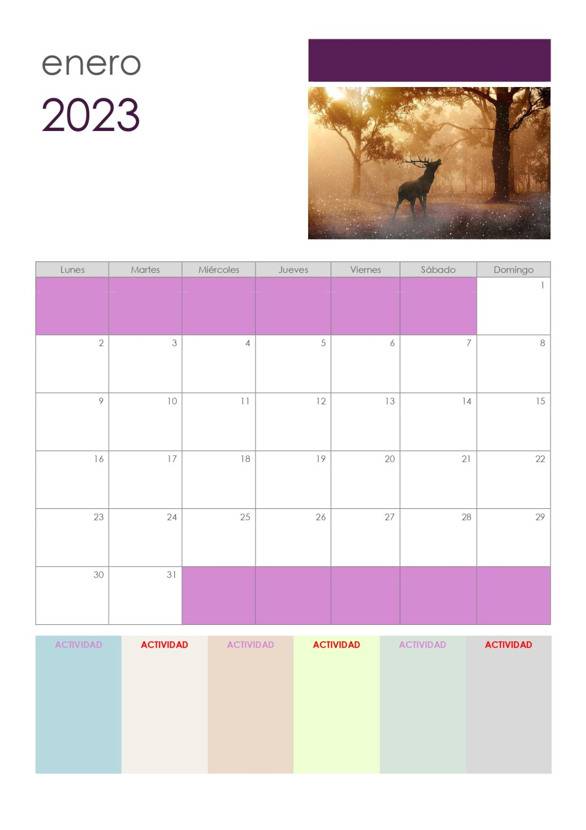 calendario actividades 2023 enero