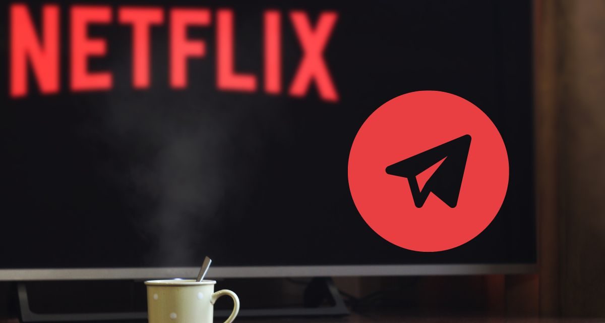 ▷ 6 canales de Telegram para seguir novedades en series y películas de  Netflix,  y otros