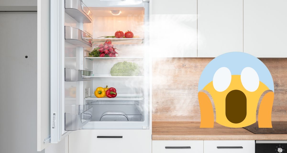 Qué hacer si mi frigorífico echa aire caliente, ¿tiene solución?