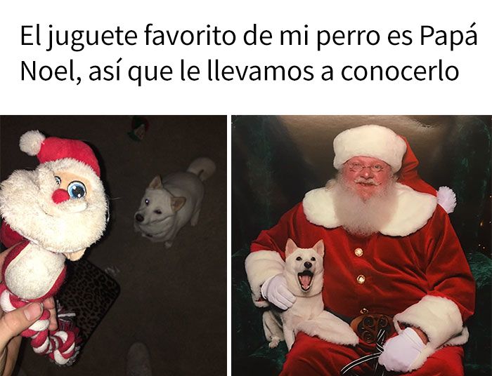 meme-nochebuena-navidad-felices-fiestas-6