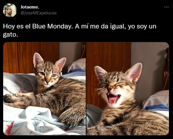 Los mejores memes sobre el Blue Monday o Lunes Azul, el día más triste del año 10