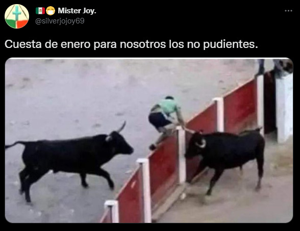 Los memes más cachondos para hacer menos empinada la cuesta de enero 11