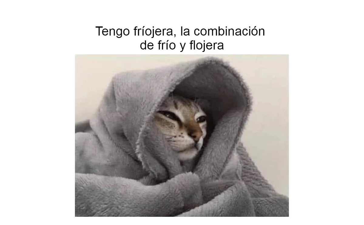 memes_frio_mexico