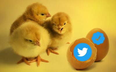Cómo saber si una cuenta verificada de Twitter ha pagado