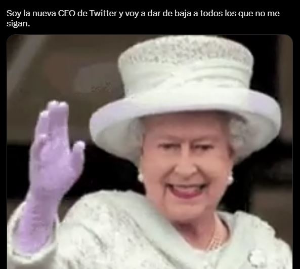 Los memes más divertidos del nombramiento del nuevo CEO de Twitter de Elon Musk 8