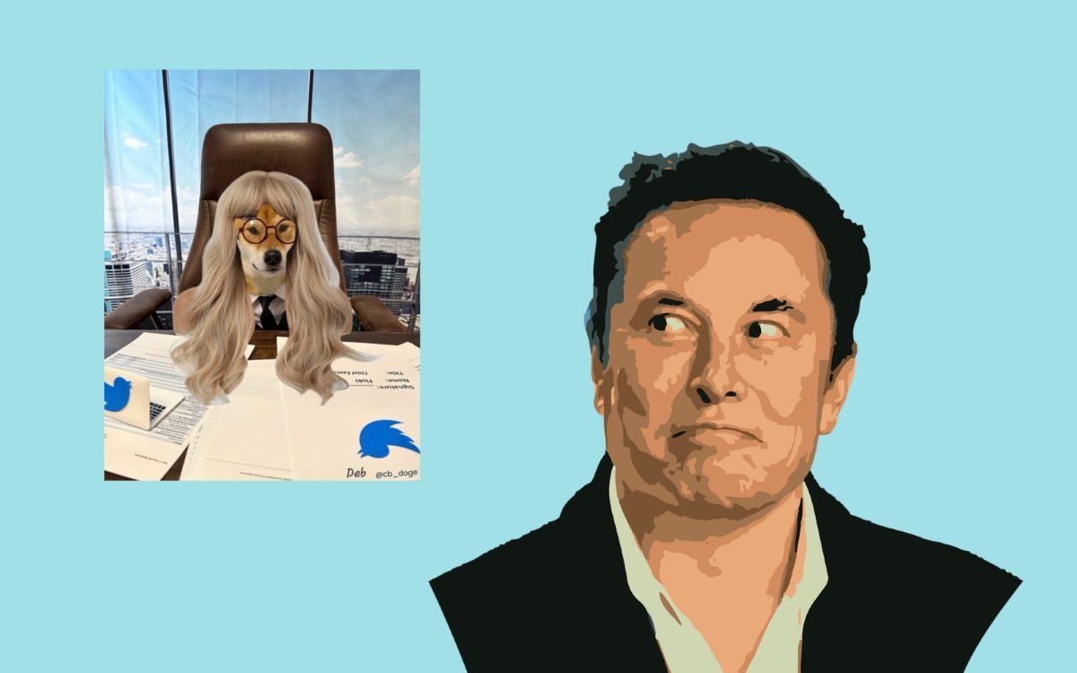 Los memes más divertidos del nombramiento del nuevo CEO de Twitter de Elon Musk