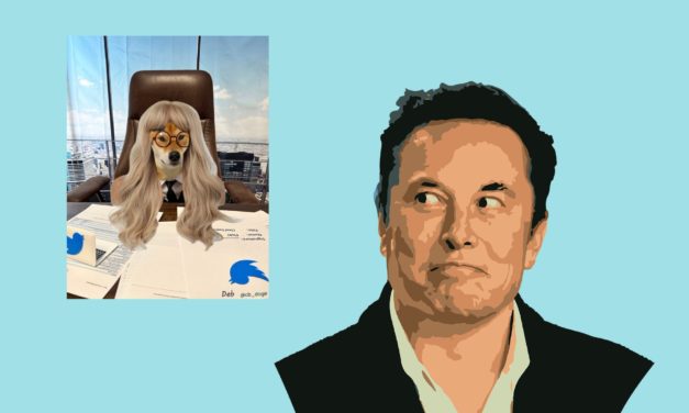 Los memes más divertidos del nombramiento del nuevo CEO de Twitter de Elon Musk