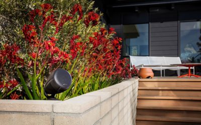 Los mejores equipos de sonido de Denon y Polk Audio para disfrutar de la música en exteriores