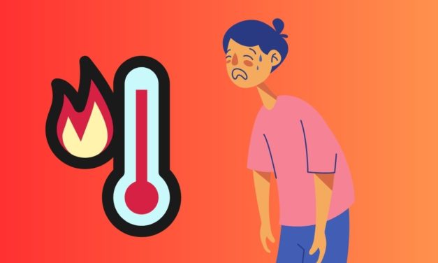 Ideas originales para ahorrar dinero a la hora de combatir el calor y no morir abrasado en el intento