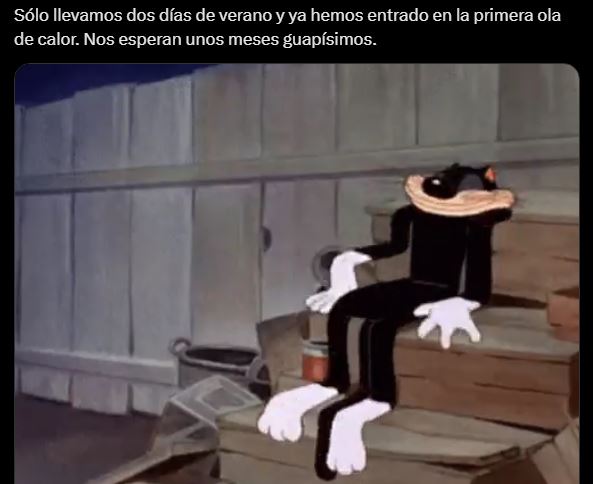 Los memes más divertidos de la ola de calor que va a explotar los termómetros 2