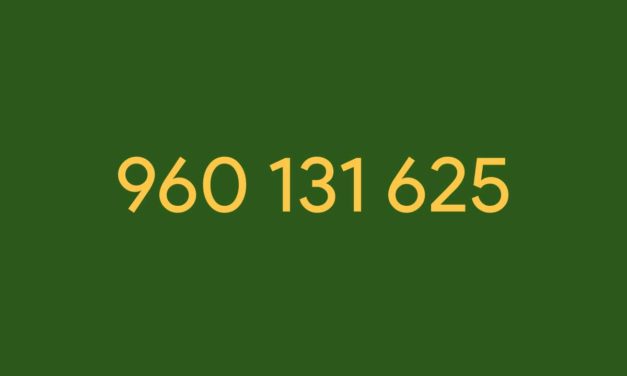 ¡Alerta máxima! Cuidado con el 960131625 si te llama por un sorteo de Mercadona