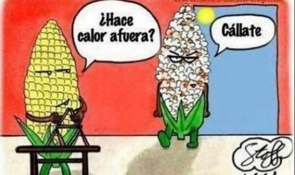 Los memes más divertidos del infernal calor que asola España 11