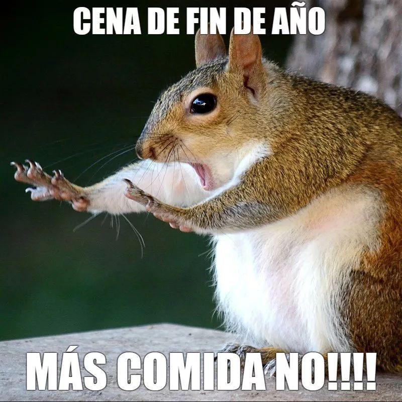 Los memes y Gifs más divertidos de Nochevieja y Año Nuevo para compartir con tus seres queridos 3 image-2-4