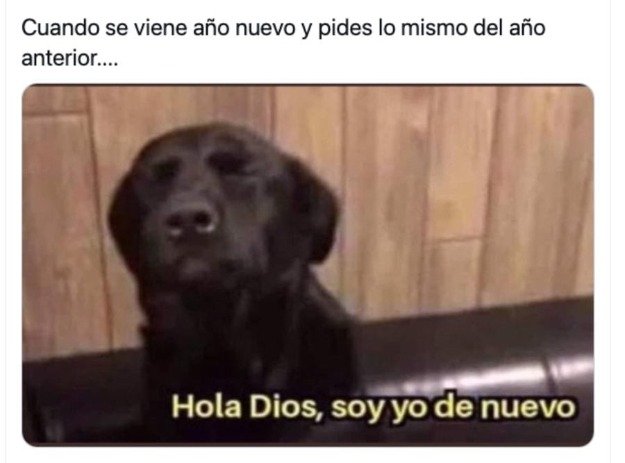 Los memes y Gifs más divertidos de Nochevieja y Año Nuevo para compartir con tus seres queridos 4 image-2-5