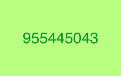 955445043, muy atento a sus llamadas, podrían ser un fraude