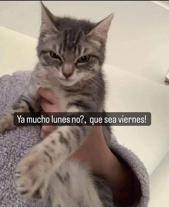Los memes más divertidos para sobrevivir al Blue Monday, el día más triste del año 11 Los memes más divertidos para sobrevivir al Blue Monday, el día más triste del año 10