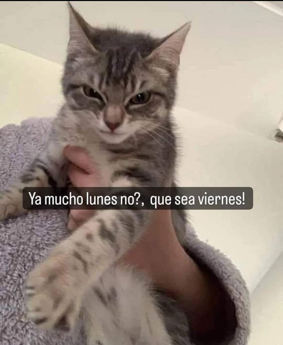 Los memes más divertidos para sobrevivir al Blue Monday, el día más triste del año 10