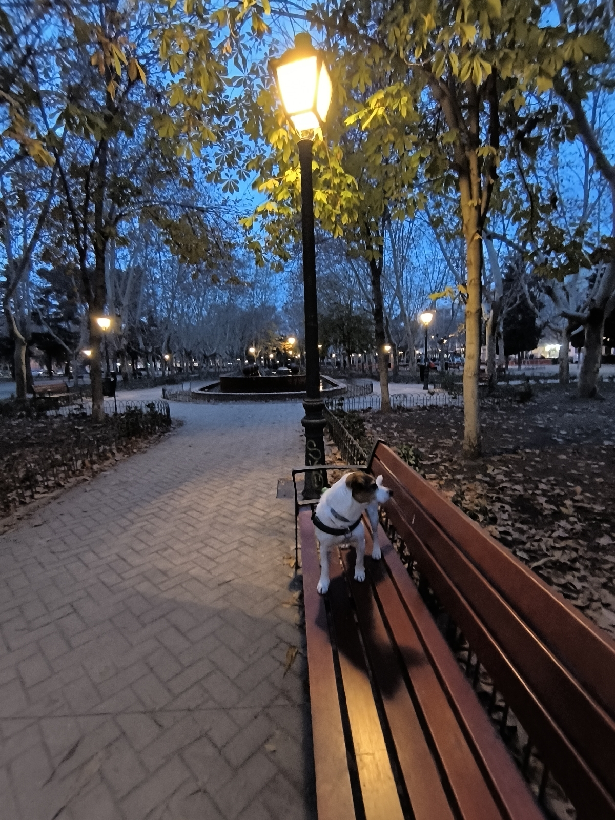 Mi experiencia con el móvil Xiaomi Redmi Note 13 Pro+ 5G tras 15 días de uso 26 xiaomi-redmi-note-13-pro-plus-5g-galeria-17