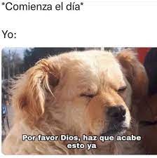 Los memes de martes más divertidos para superar el día más duro de la semana 4 Los memes de martes más divertidos para superar el día más duro de la semana 3