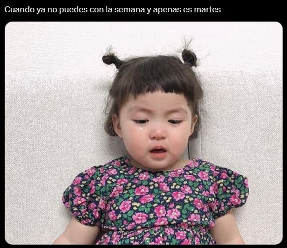 Los memes de martes más divertidos para superar el día más duro de la semana 5 Los memes de martes más divertidos para superar el día más duro de la semana 4