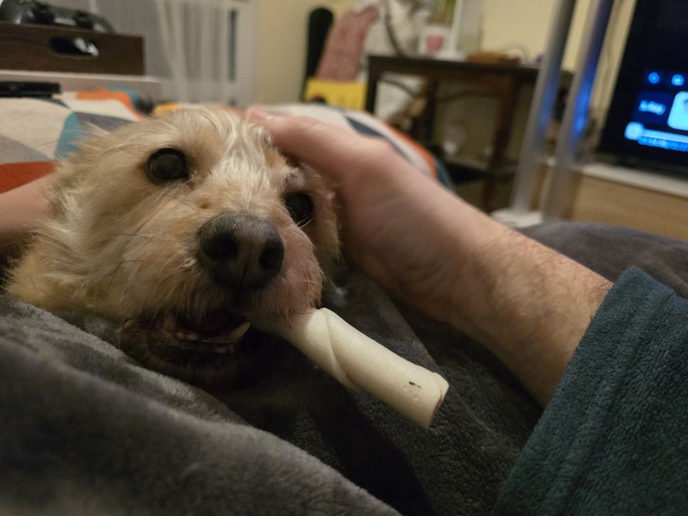 Samsung Galaxy S24 galeria 13