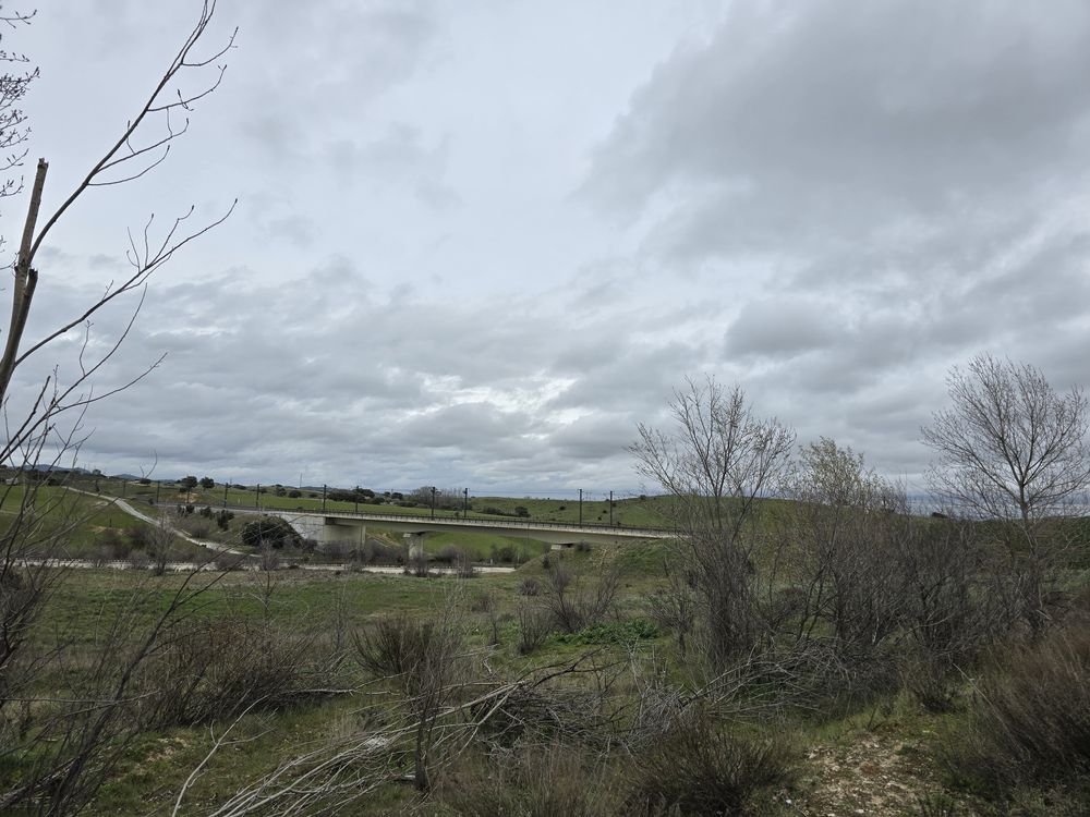 Samsung Galaxy S24 galeria 17