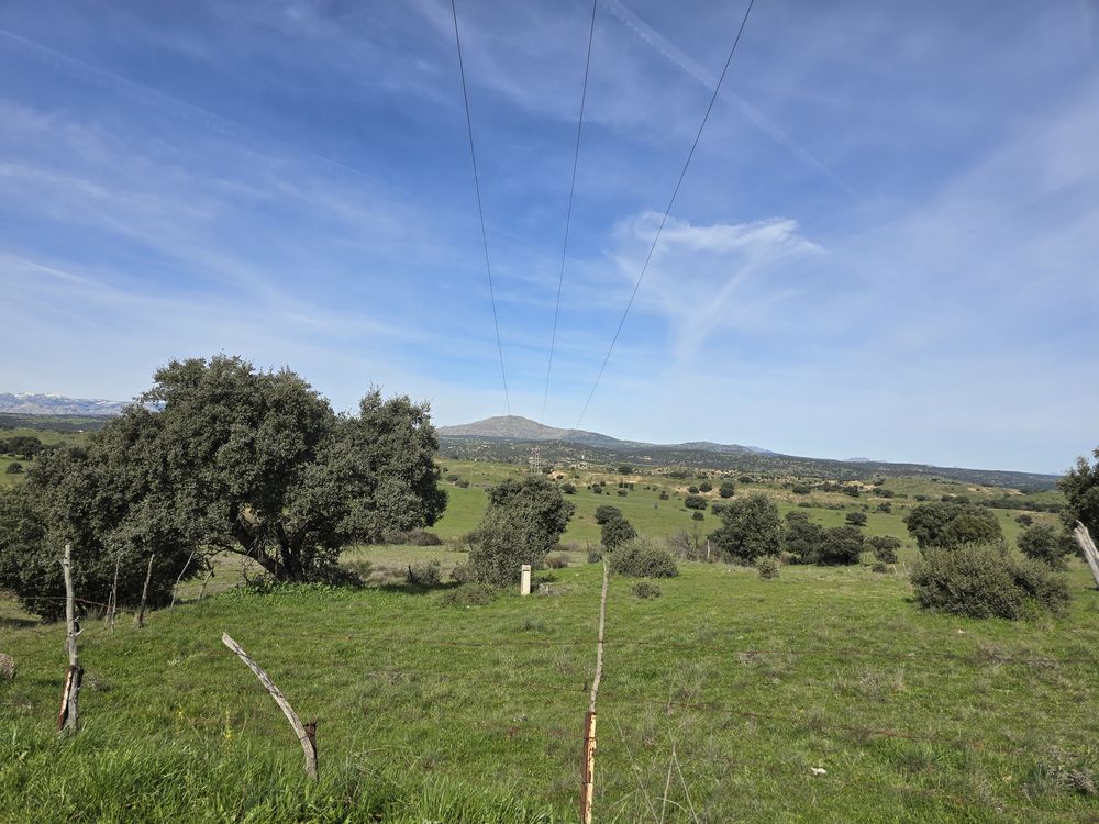 Samsung Galaxy S24 galeria 9