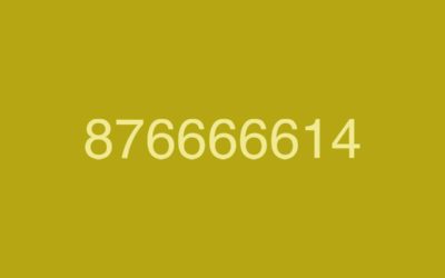 876666614, por qué 5.000 usuarios han denunciado este peligroso número