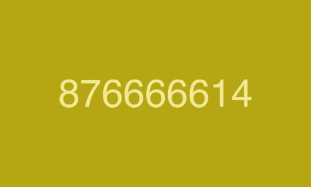 876666614, por qué 5.000 usuarios han denunciado este peligroso número