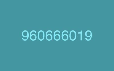 960666019, el número que podría estar intentando estafarte