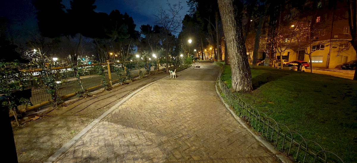 honor-magic6-pro-galeria_12