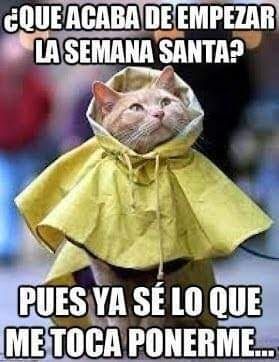 Los memes más divertidos de Semana Santa y del temporal de lluvia y viento 2024 4 Los memes más divertidos de Semana Santa y del temporal de lluvia y viento 2024 3